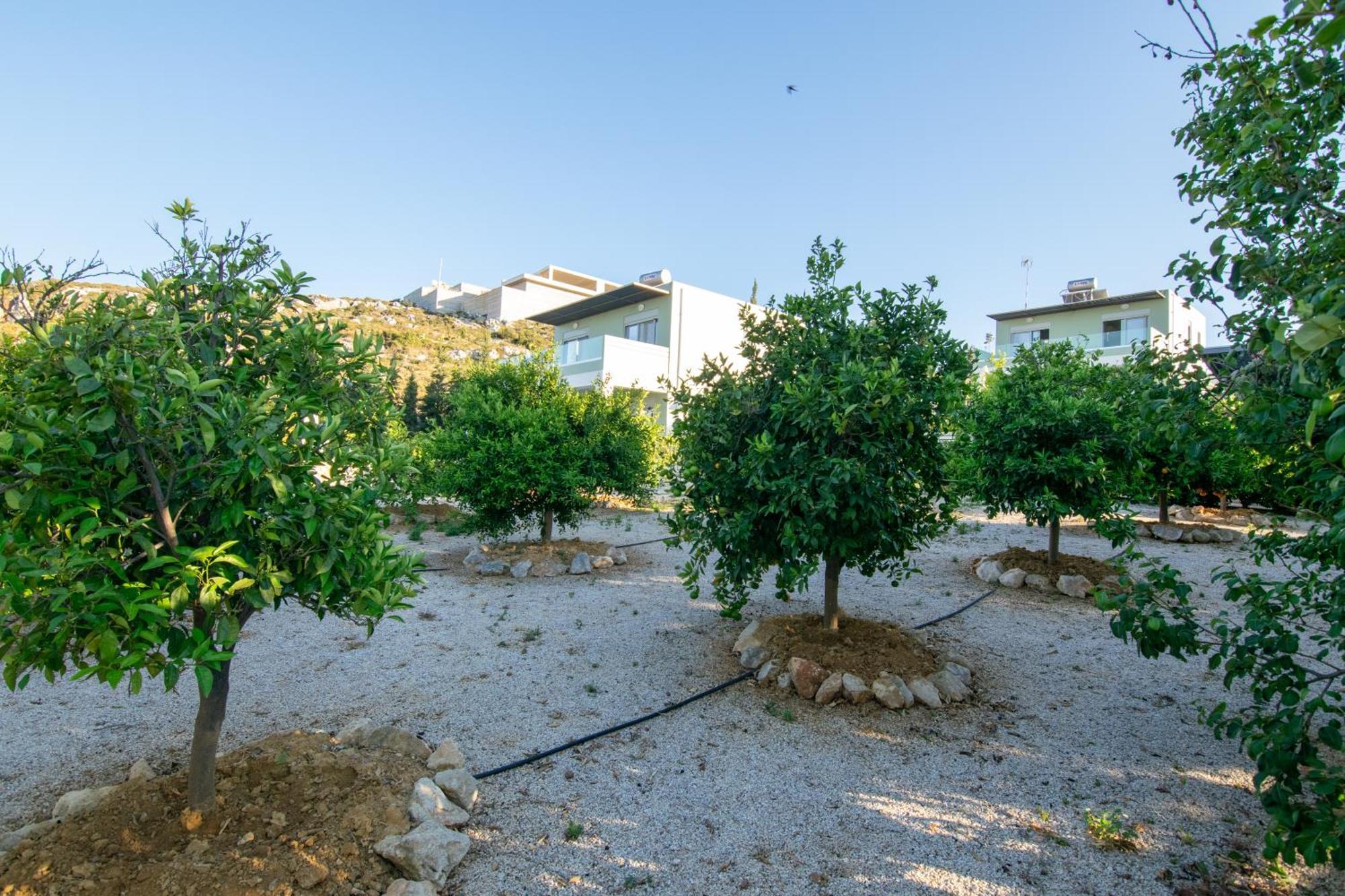 Κatakis Villas Agios Onoufrios Exterior photo