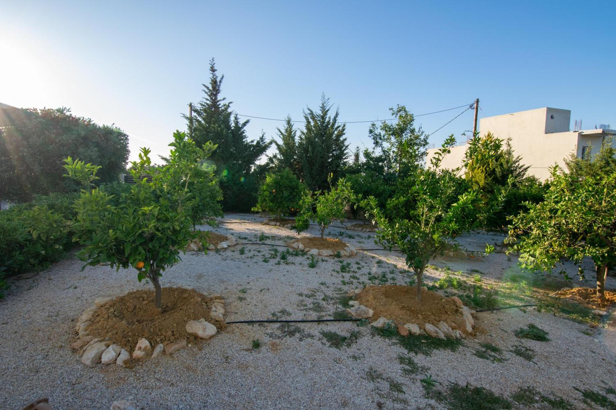 Κatakis Villas Agios Onoufrios Exterior photo
