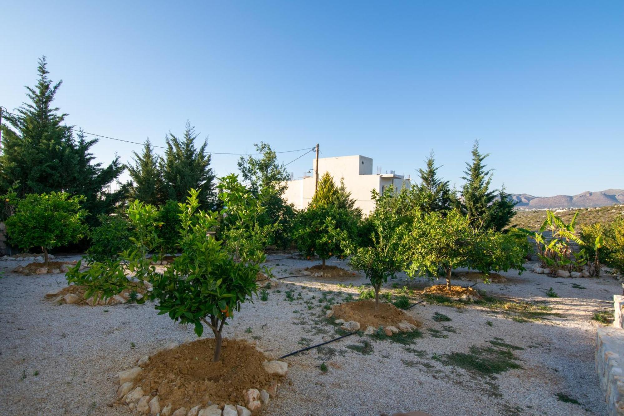 Κatakis Villas Agios Onoufrios Exterior photo